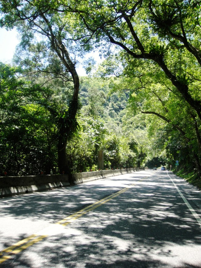 DSC04566