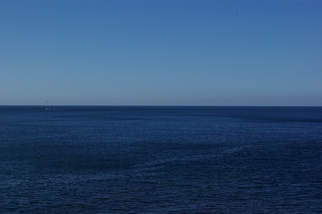 IMGP3205