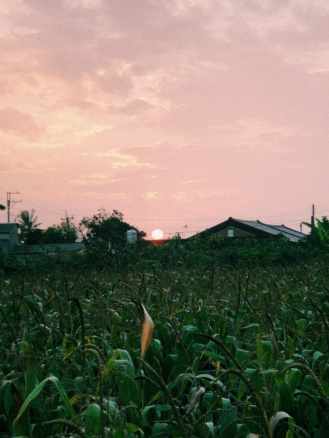 Processed with VSCO with c1 preset